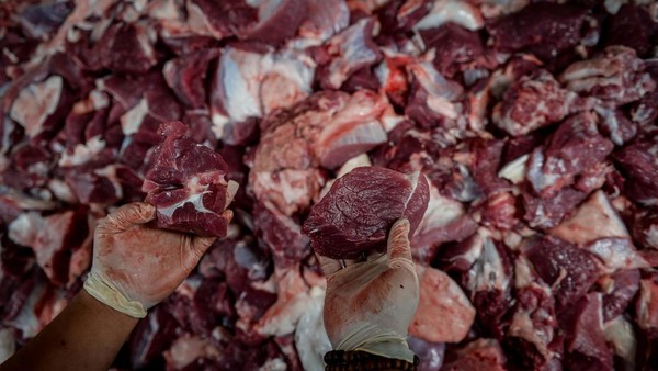 Daging Kurban Aman? Tim Ahli Periksa Jeroan & Daging