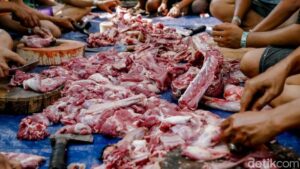 Jeroan Kurban: Bahaya Konsumsi Berlebihan, Waspadai Efeknya!