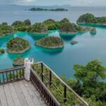 Kontroversi Raja Ampat: Pariwisata vs Tambang, Mana yang Menang?