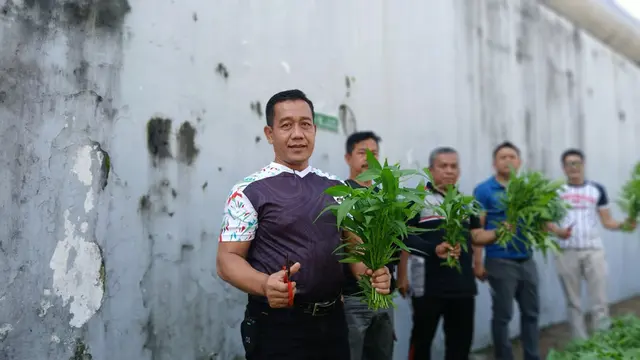 Napi Ciptakan Ketahanan Pangan: Inovasi Lapas Ciamis Sukses!