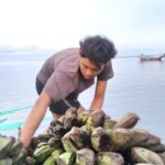 Pulau Enggano Terhubung! Alur Pelabuhan Baai Akhir Juni Dilewati Kapal