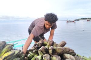 Pulau Enggano Terhubung! Alur Pelabuhan Baai Akhir Juni Dilewati Kapal