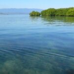 Pulau Panjang Sumbawa Dijual? Bupati: Saya Tak Percaya!
