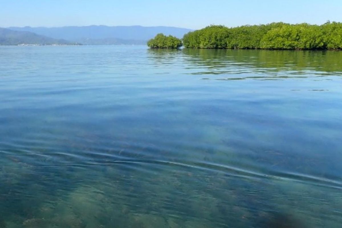 Pulau Panjang Sumbawa Dijual? Bupati: Saya Tak Percaya!