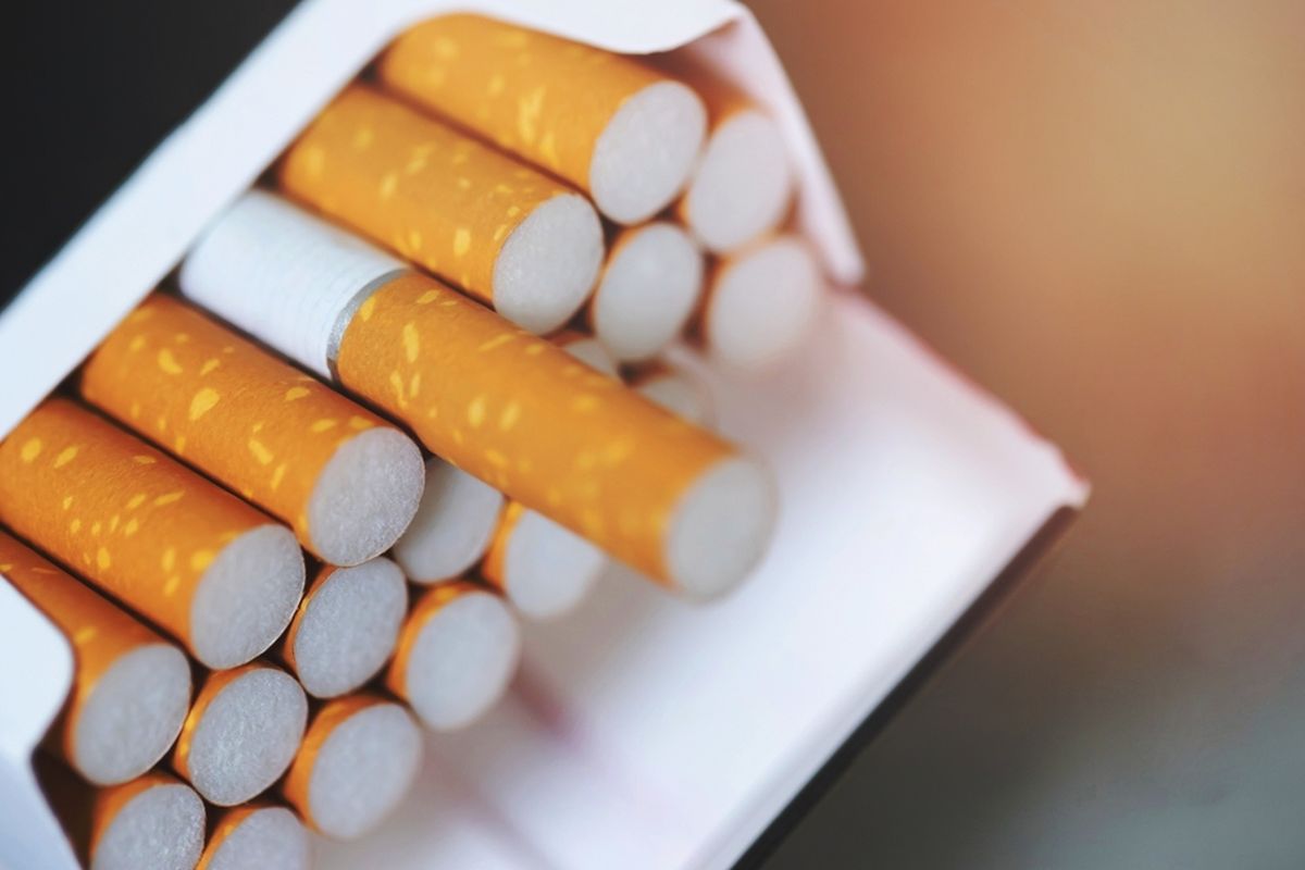 Rahasia di Balik Kesuksesan Pabrik Rokok Sampoerna: Siapa Pemiliknya?