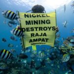 Raja Ampat: Surga Tersembunyi Papua, Penelitian & Pariwisata