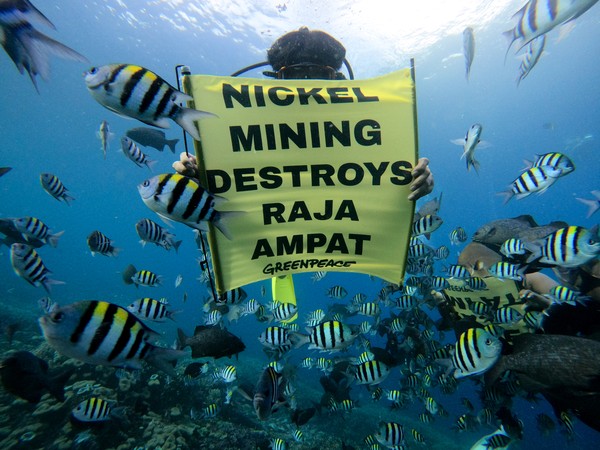 Raja Ampat: Surga Tersembunyi Papua, Penelitian & Pariwisata