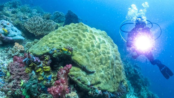 Raja Ampat Terancam: Benarkah Tambang Nikel Membahayakan Surga?