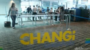 Singapura: Ratusan Turis Ditangkap, Apa Penyebabnya?