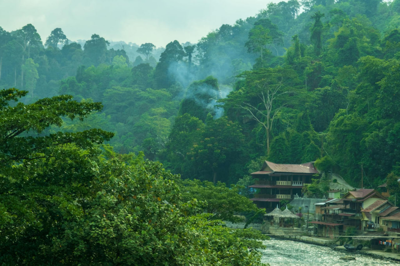 Mengenal Keindahan Bukit Lawang: Surga Ekowisata di Sumatra Utara